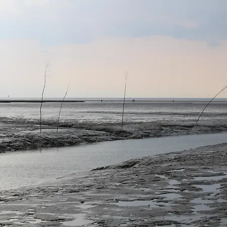 Nixe7 بيت للعطل